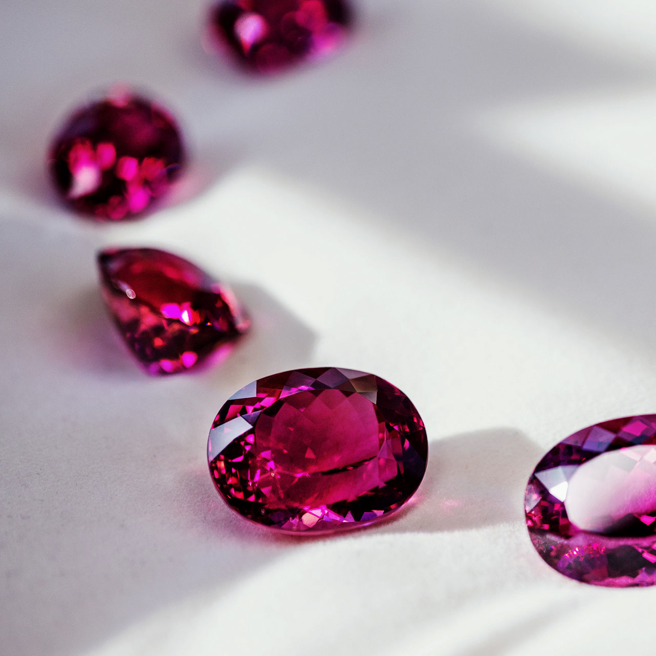 Rubellite Blooms