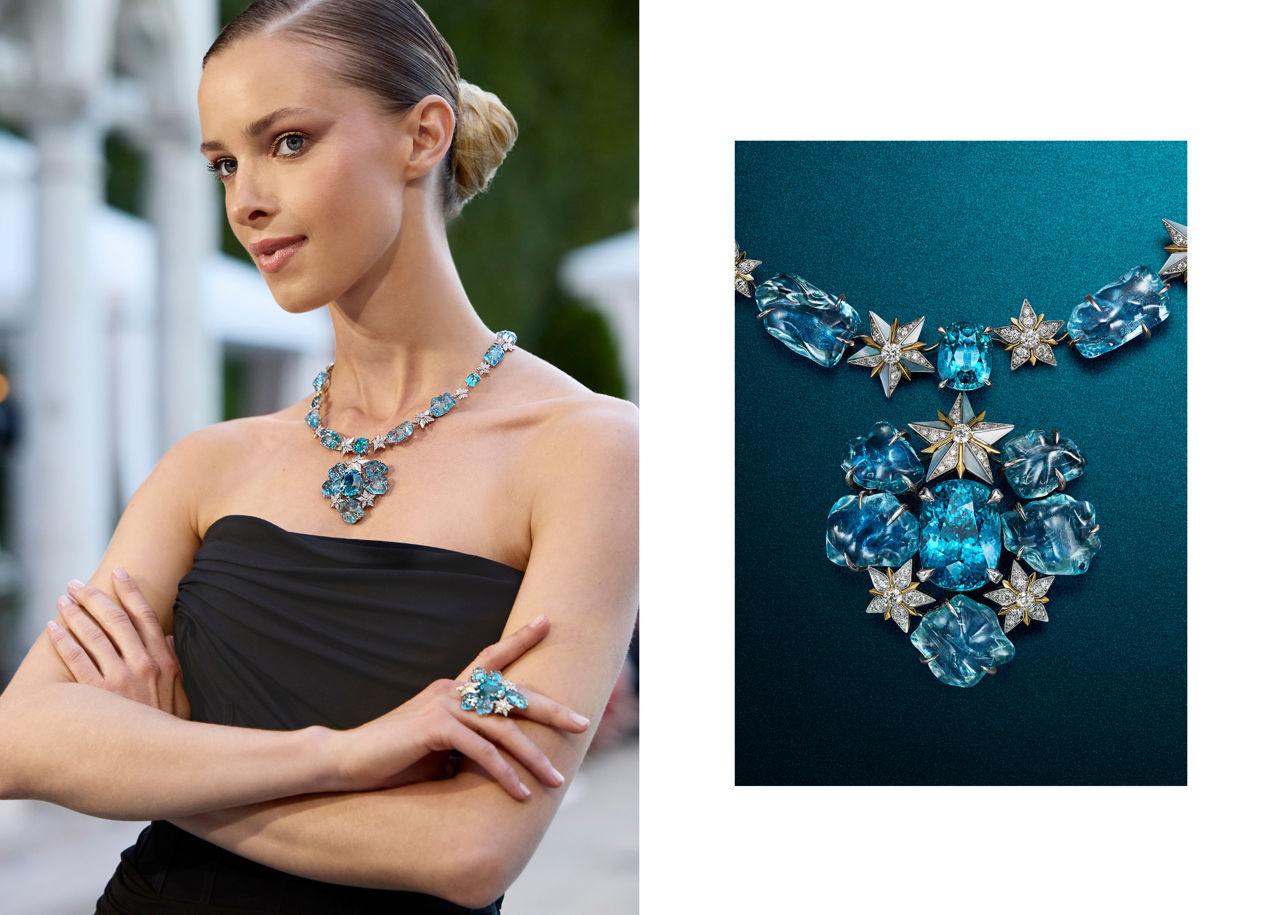 Blue Book 2024: Iconic Star