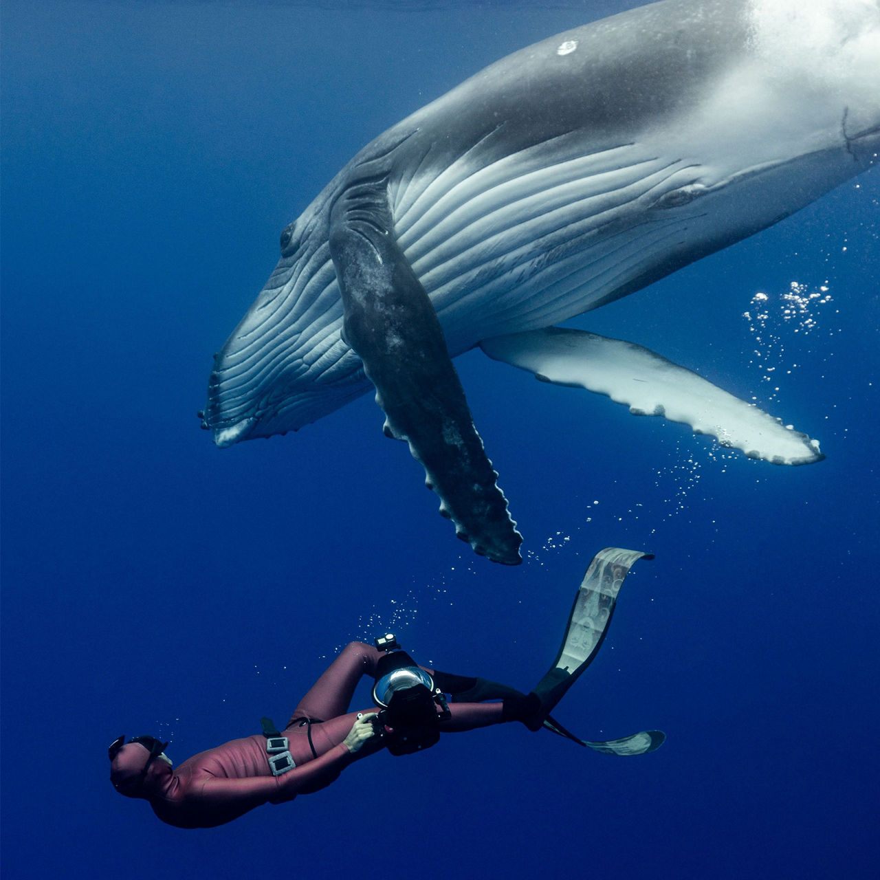 Our Inaugural UNESCO-IOC Partnership