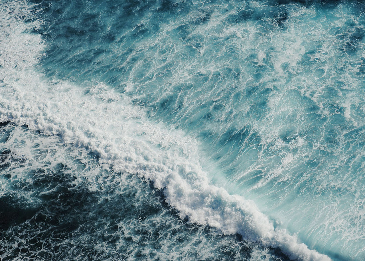 Ocean Conservation Meets Purposeful Partnership