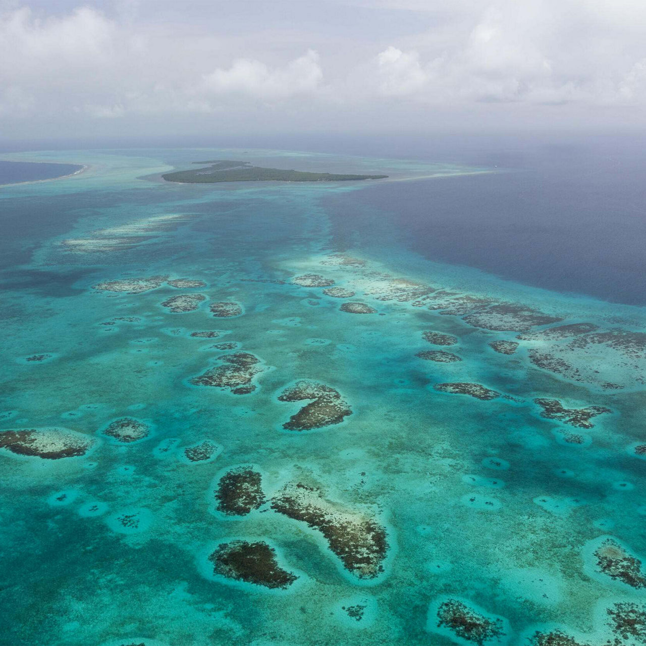 Tiffany & Co. célèbre le Mois mondial de l’océan