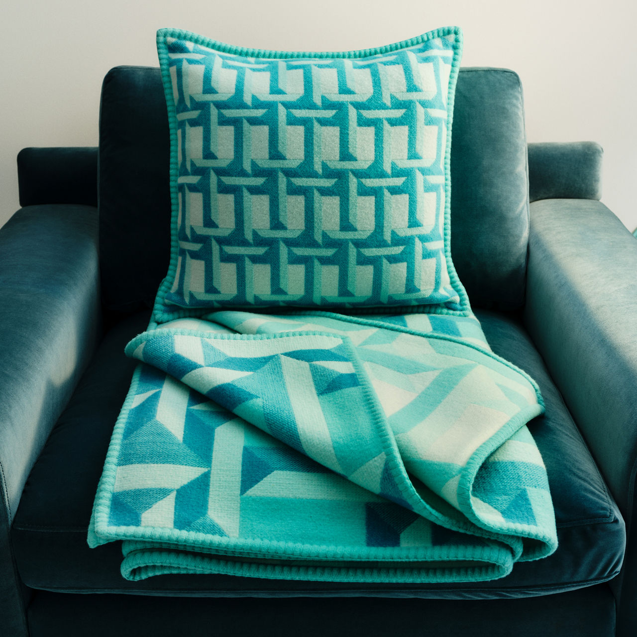Blankets and Cushions