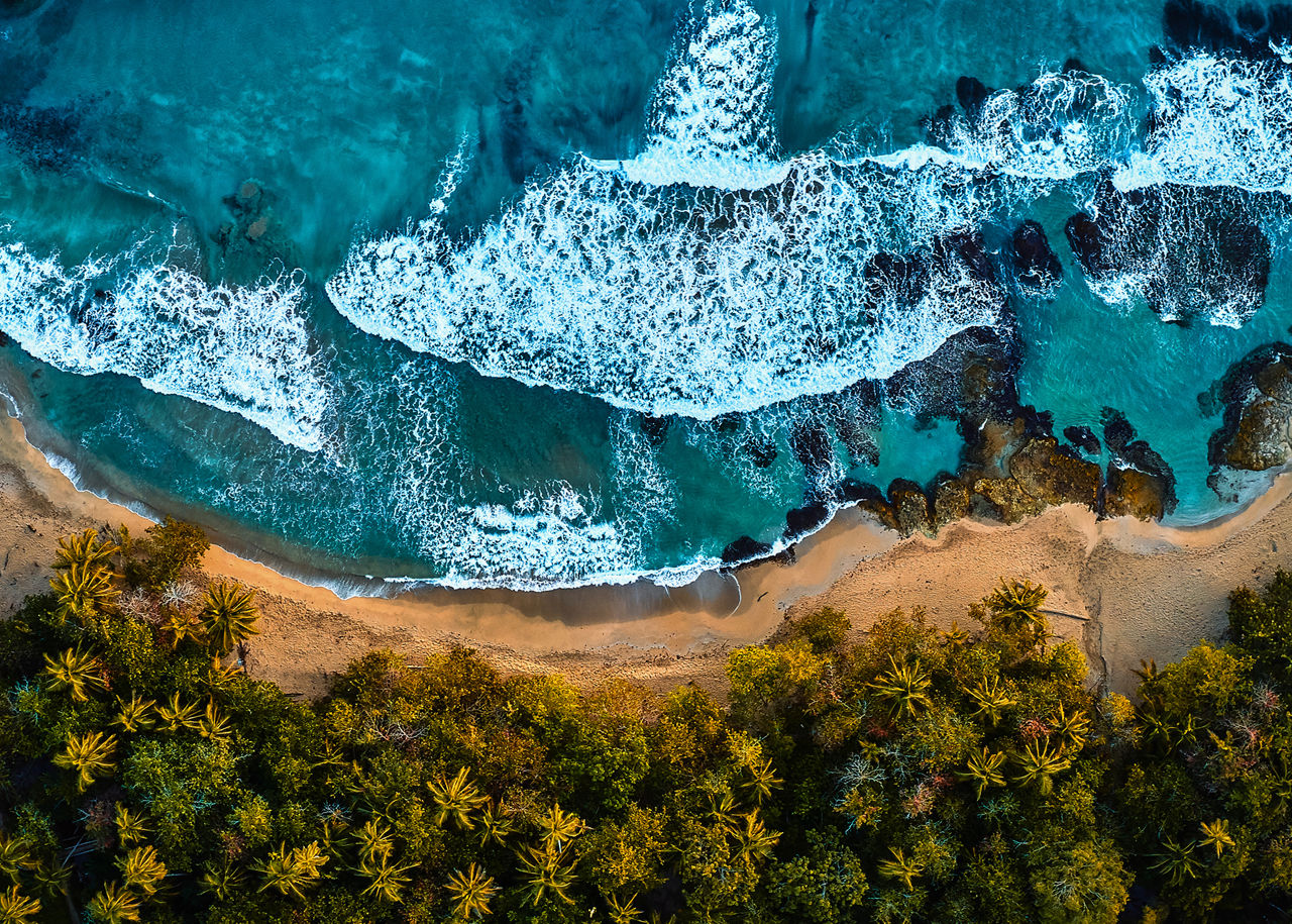 Our Legacy of Sustainability