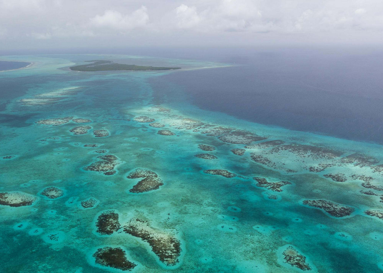 Tiffany & Co. célèbre le Mois mondial de l’océan