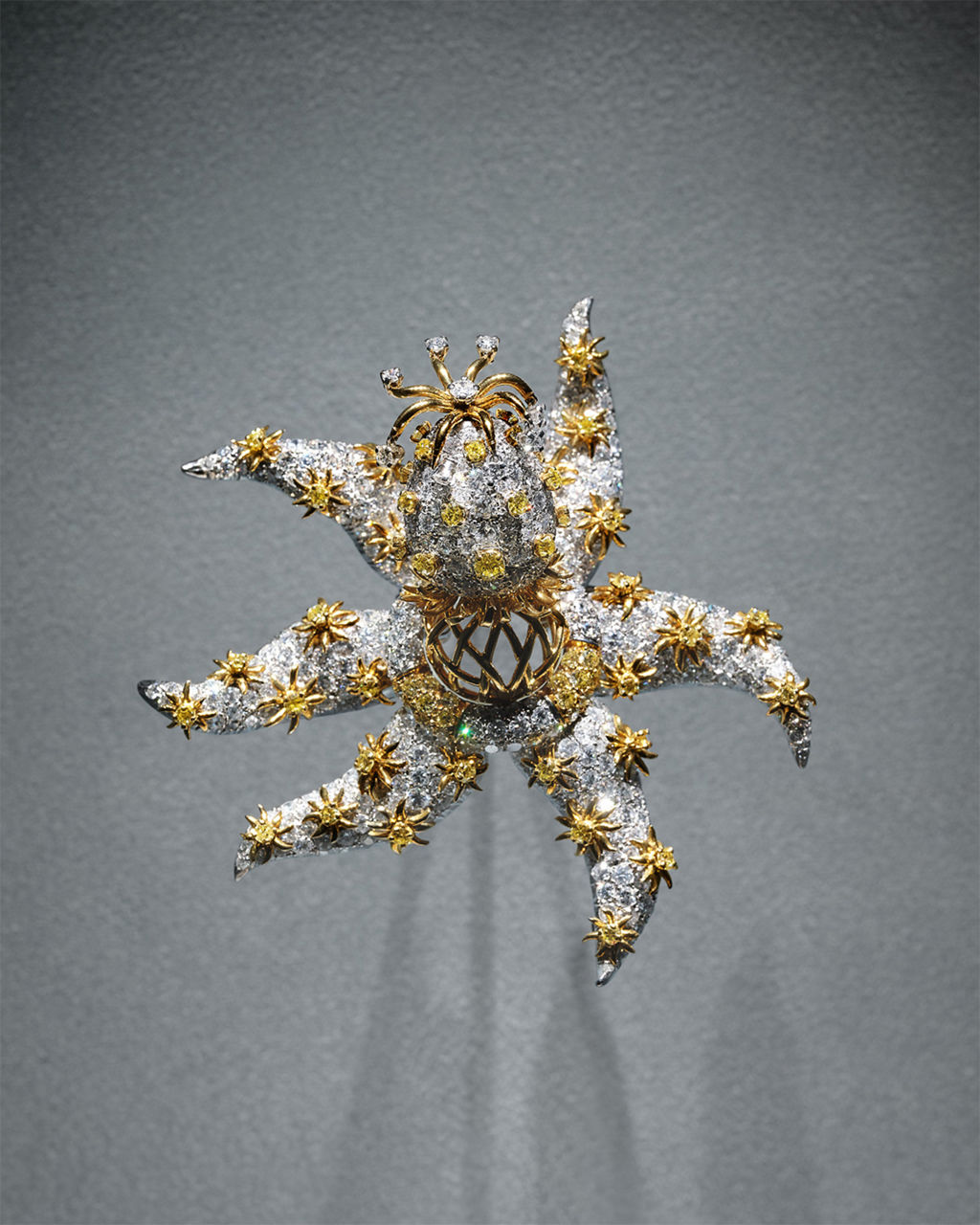 볼드한 선택을 하는 이들을 위해