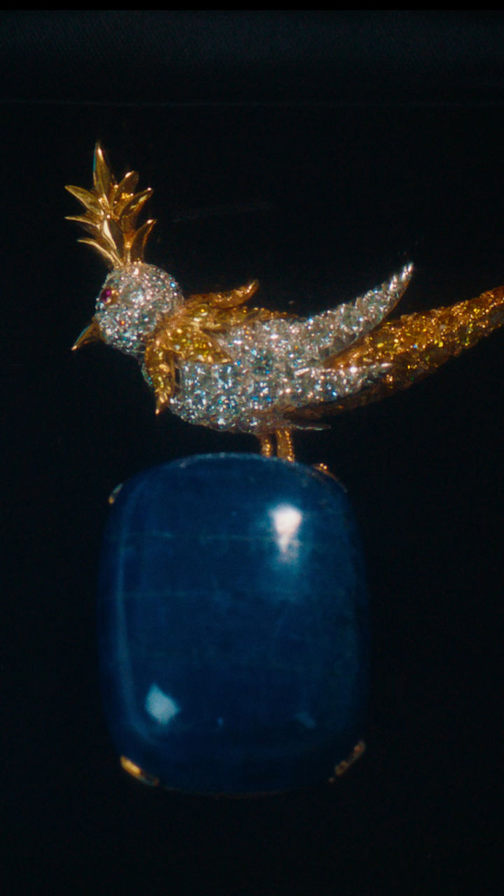 Bird on a Rock Designs | Tiffany & Co.