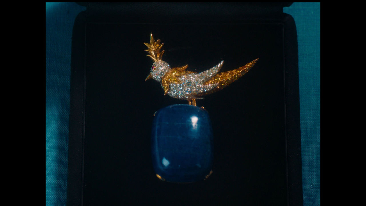 Bird on a Rock