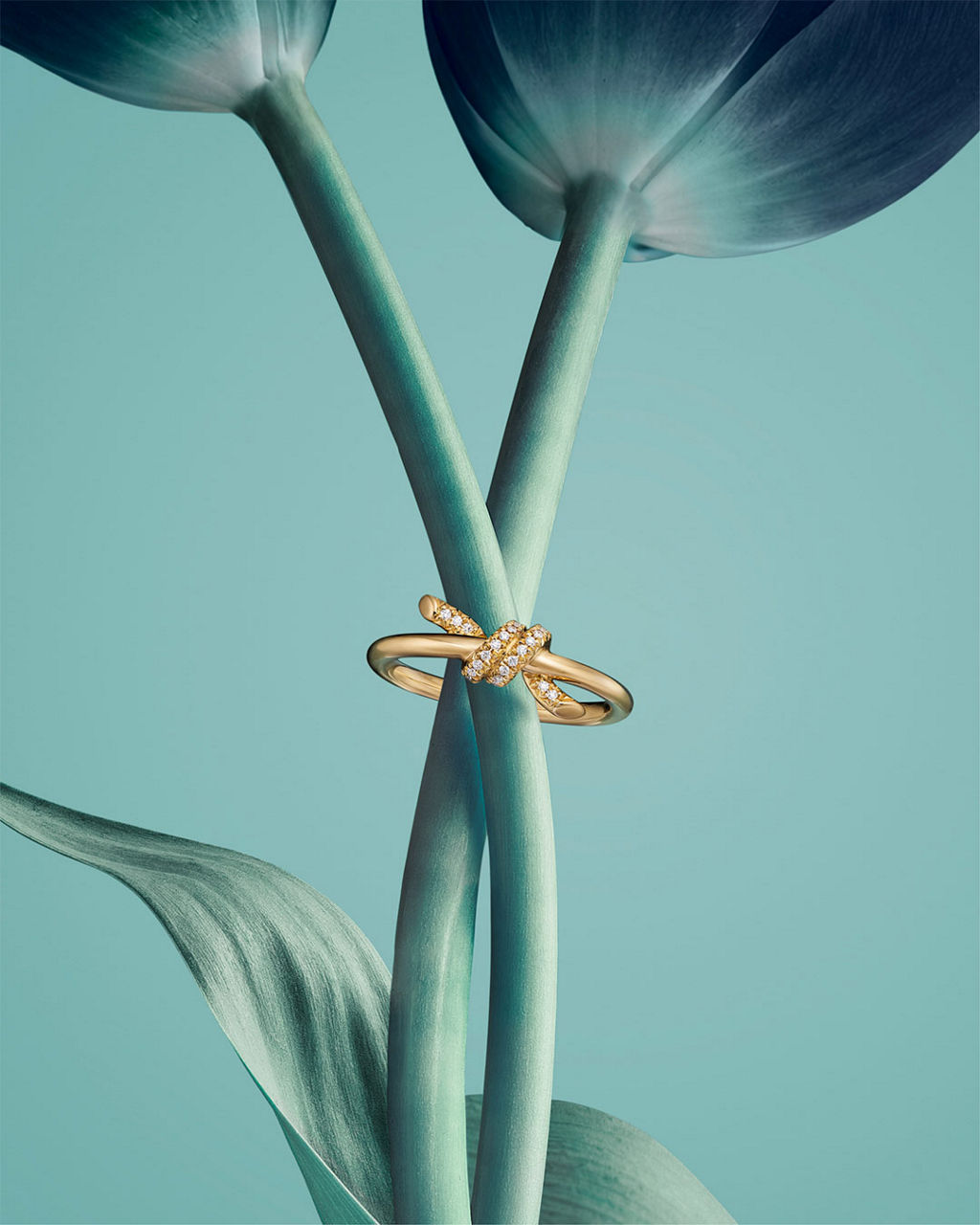 HardWear by Tiffany
