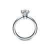 The Tiffany&reg; Setting: Engagement Ring in Platinum image number 5