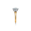 Tiffany&reg; Setting 18K黃金訂婚戒指  圖片編號 3