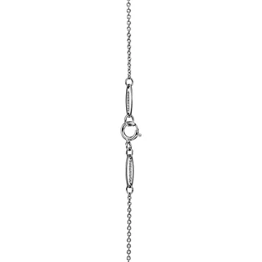 Elsa Peretti&reg;:Diamonds by the Yard&reg; Pendant in Platinum, 3