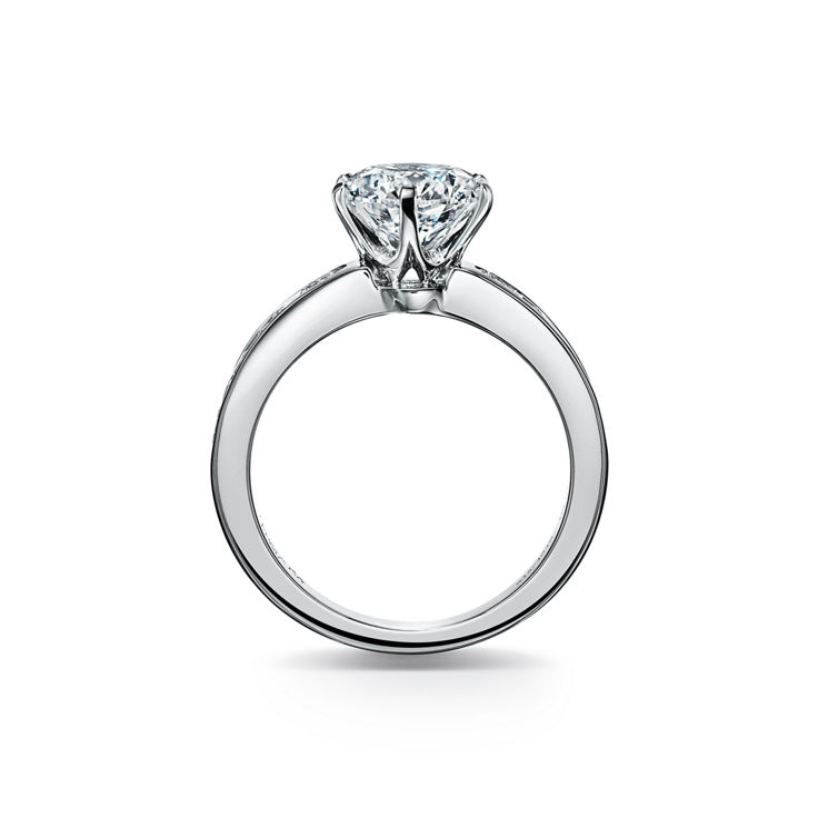 The Tiffany® Setting: Engagement Ring with a Channel-set Diamond Band in Platinum image number 5