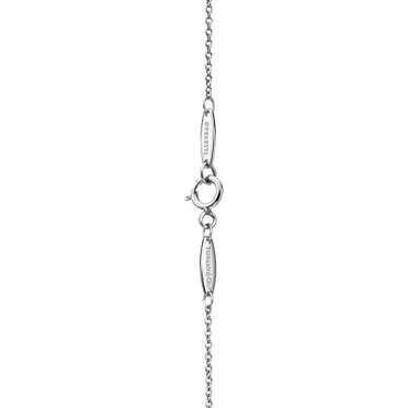 Elsa Peretti&reg;:Diamonds by the Yard&reg; Pendant in Platinum, 3