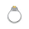 Tiffany Soleste&reg;:Oval Yellow Diamond Double Halo Engagement Ring in Platinum image number 5