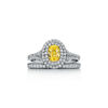 Tiffany Soleste&reg;:Oval Yellow Diamond Double Halo Engagement Ring in Platinum image number 6