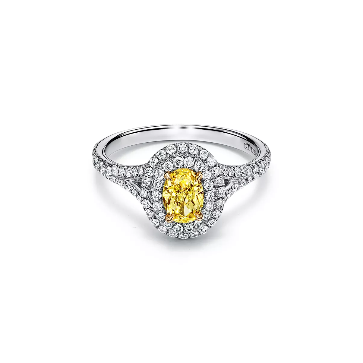 Oval Yellow Diamond Double Halo Engagement Ring in Platinum