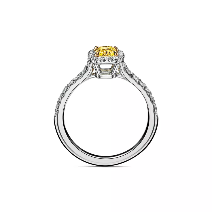 Tiffany Soleste&reg;:Cushion-cut Halo Engagement Ring with a Diamond Platinum Band, 5