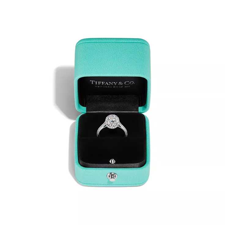 Tiffany Soleste&reg;:Oval Halo Engagement Ring with a Diamond Platinum Band, 8