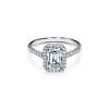 Tiffany Soleste&reg;:Emerald-cut Halo Engagement Ring with a Diamond Platinum Band image number 0