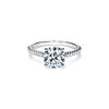 Tiffany Forever:Round Brilliant Diamond Engagement Ring with a Pav&eacute; Diamond Band in Platinum image number 0