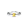 Tiffany Novo&reg;:Yellow Diamond Engagement Ring with a Pav&eacute; Diamond Platinum Band image number 0