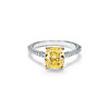 Tiffany Novo&reg;:Bague de fian&ccedil;ailles orn&eacute;e d&rsquo;un diamant jaune avec anneau en platine 950&nbsp;milli&egrave;mes pav&eacute; de diamants num&eacute;ro dimage {1}