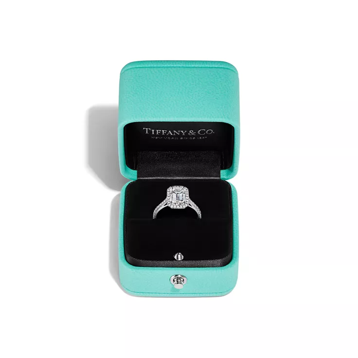 Tiffany Soleste&reg;:Round Brilliant Engagement Ring in Platinum, 8