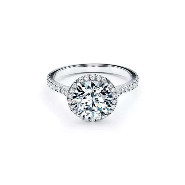Round Brilliant Engagement Ring in Platinum