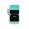 Tiffany Soleste:Geschlossener Eternity Ring in&nbsp;Platin mit Diamanten Bildnummer 4
