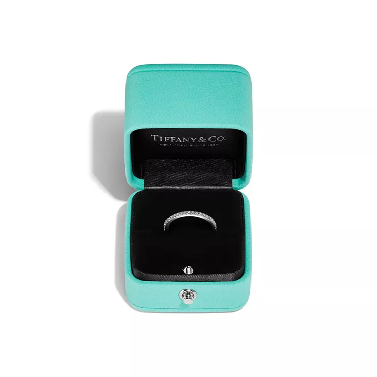 Tiffany Soleste®:Full Eternity Ring in Platinum with Diamonds, 4