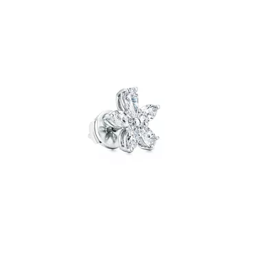 Collezione Tiffany Victoria®: Orecchini Mixed Cluster , 2