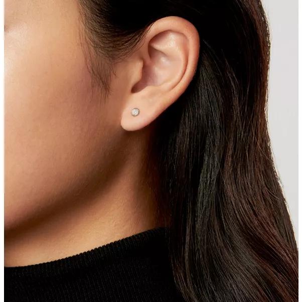 Diamonds by the Yard® Earrings in Silver