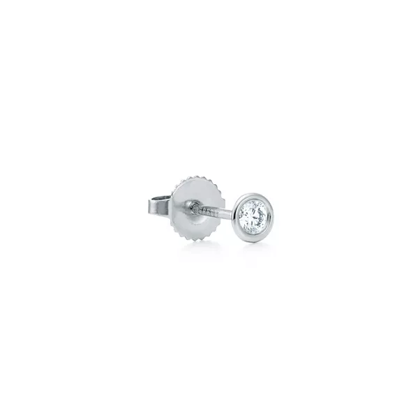 Diamonds by the Yard® Earrings in Platinum