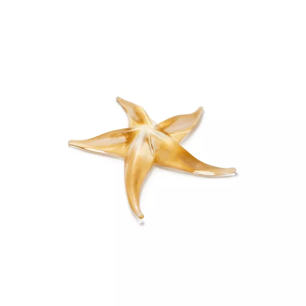 Starfish in Handmade, Mouth-blown Venetian Glass