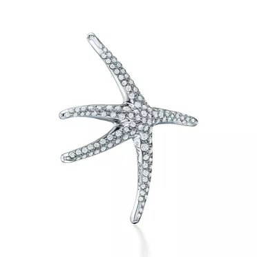 Elsa Peretti®:Starfish Brooch, 2