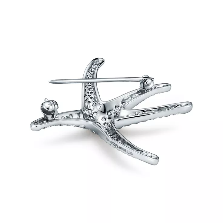 Elsa Peretti®:Starfish Brooch, 4