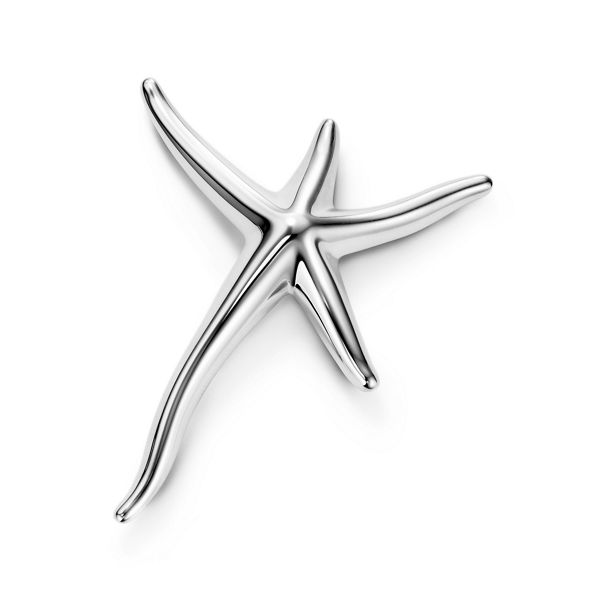 Elsa Peretti®:Starfish Brooch 