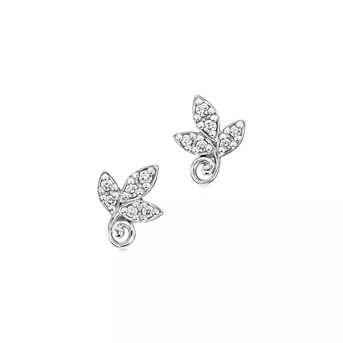  pendientes Olive Leaf   