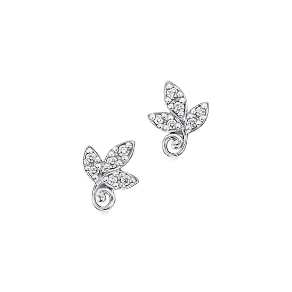 Olive Leaf Ohrringe   
