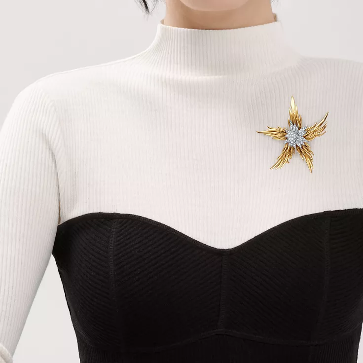 Tiffany & Co. Schlumberger:Paris Flames Brooch in Yellow Gold with Diamonds, 1
