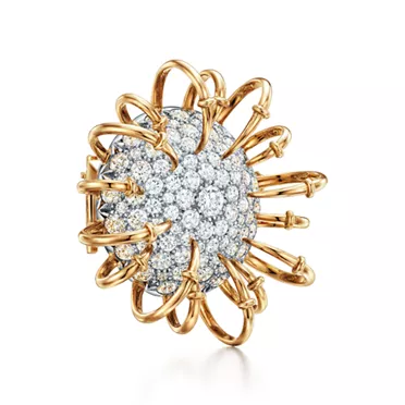 Schlumberger by Tiffany & Co.™:Spilla Apollo in oro giallo e platino con diamanti, 2