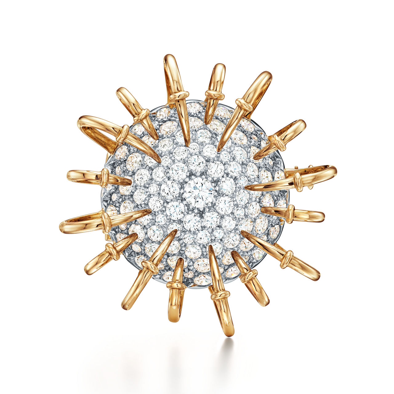 Apollo Brooch in Yellow Gold and Platinum with Diamonds