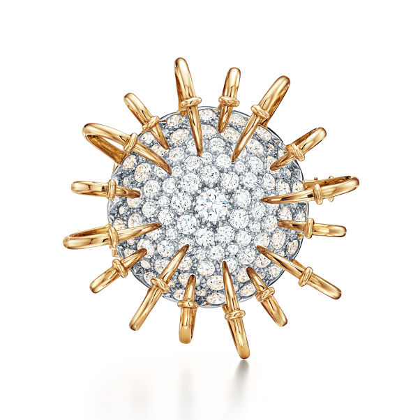 Tiffany & Co. Schlumberger:Apollo Brooch in Yellow Gold and Platinum with Diamonds