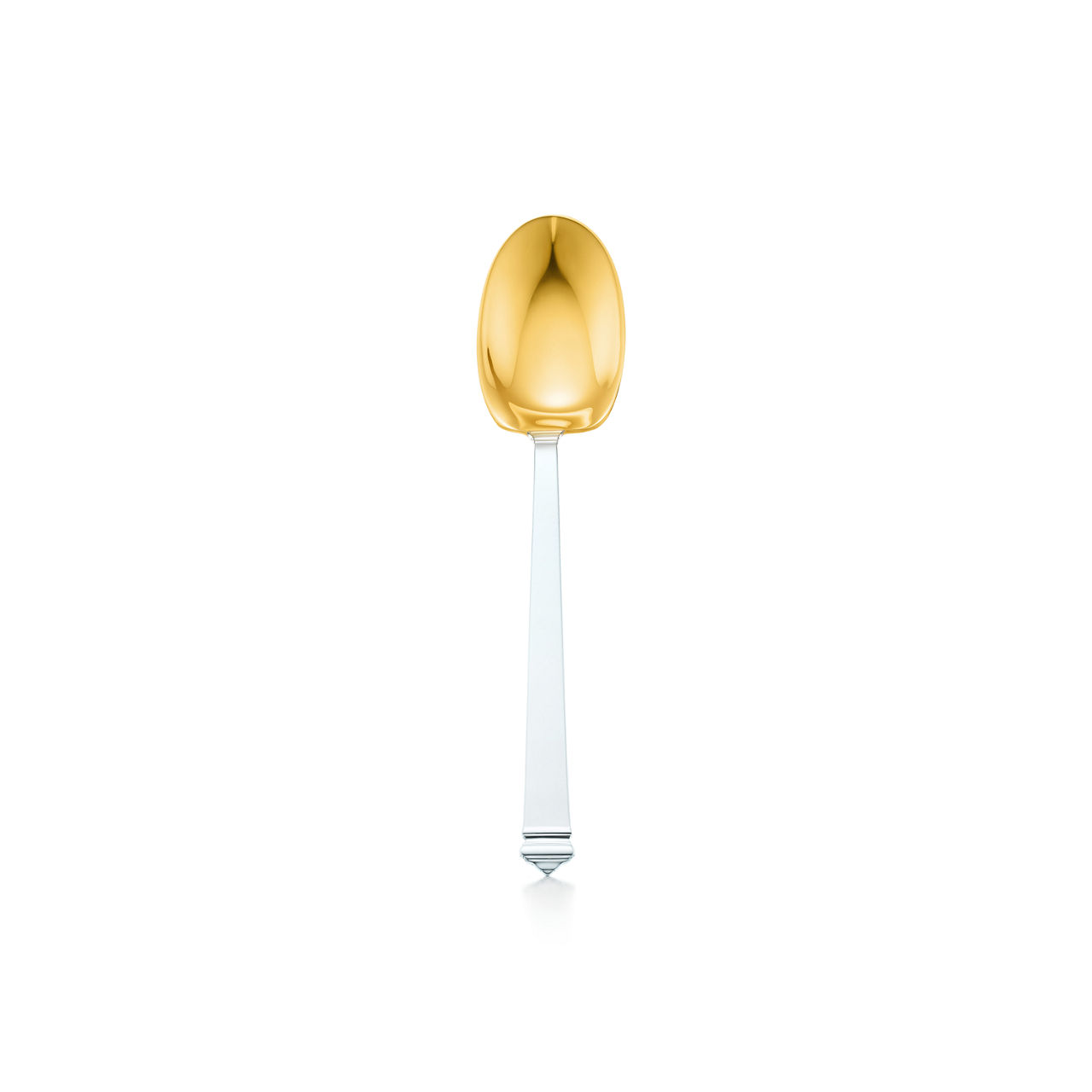 Salad Serving Spoon