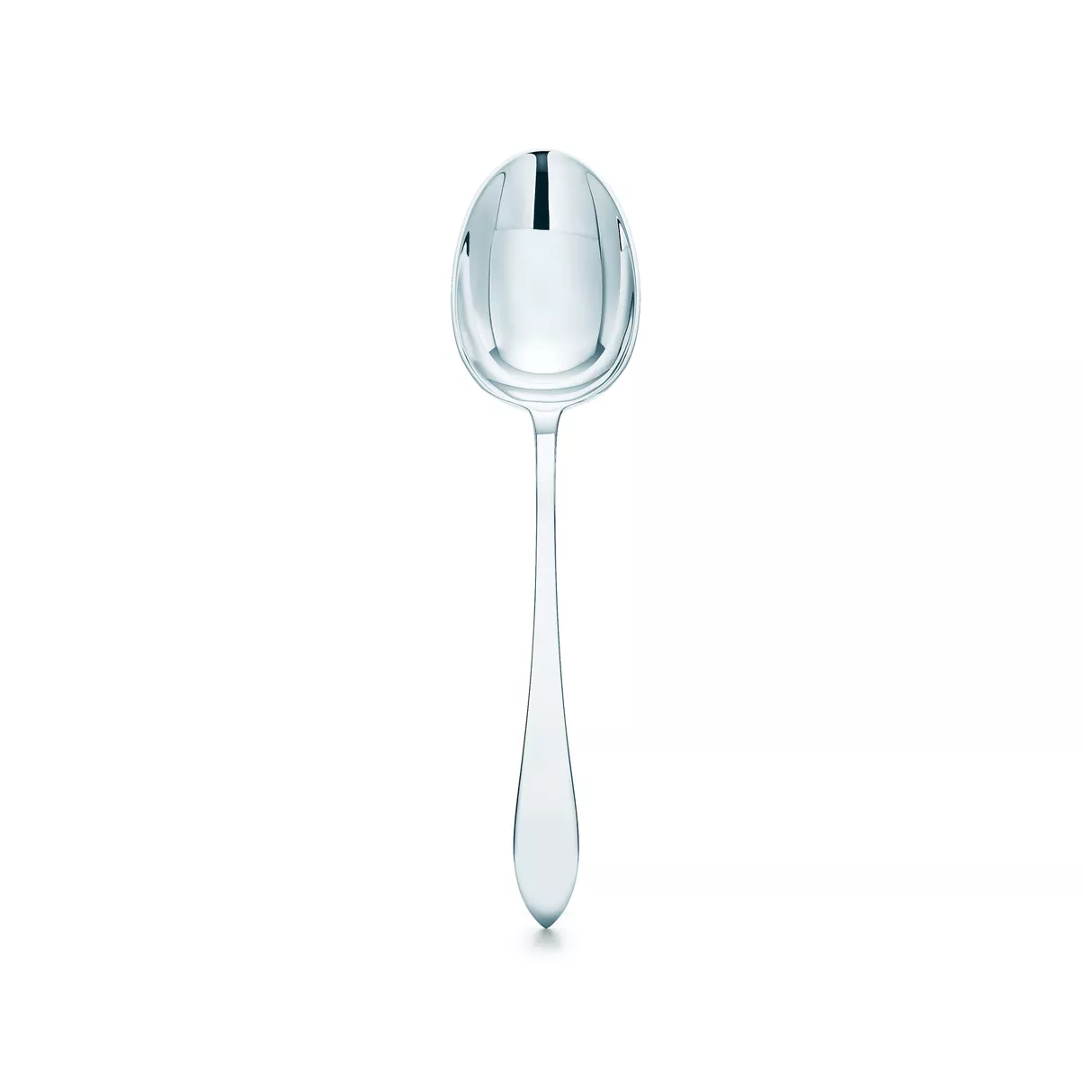 Vegetable Spoon