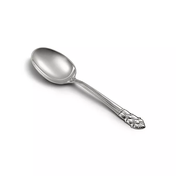 Vegetable Spoon