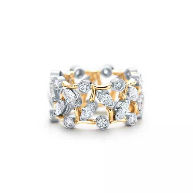Tiffany & Co. Schlumberger®:Vigne Ring image number 0
