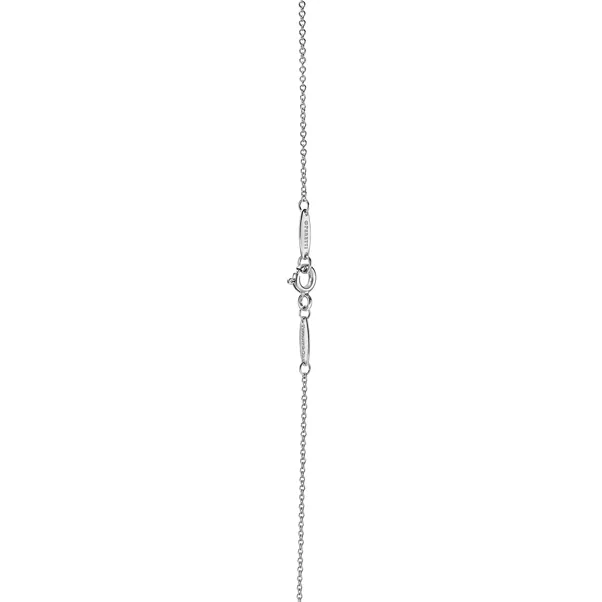 Color by the Yard Amethyst Pendant in Silver