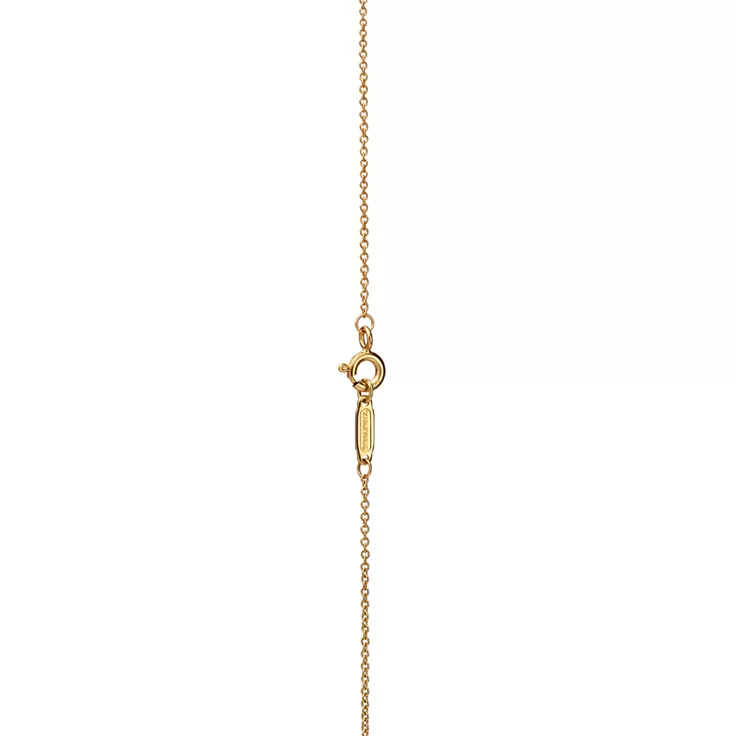 Collezione Sixteen Stone by Tiffany:Pendente in oro giallo con rubini, 4