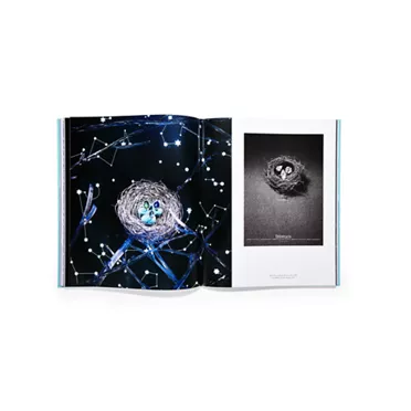 Assouline Windows at:Tiffany & Co. Book, 3